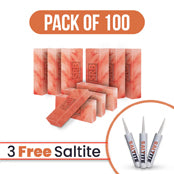 Salt Bricks pack of 100 with free saltite