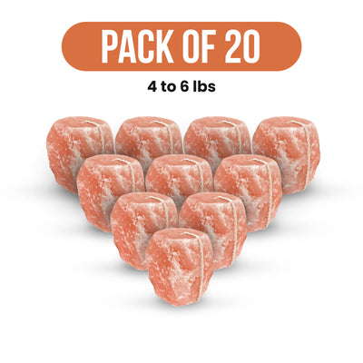 Aminl salt lick block pack of 20