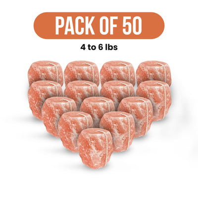 Animal Salt Lick Blocks - 4 to 6 lbs - Pack of 50