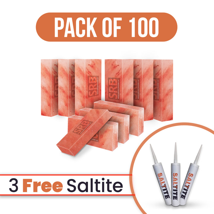 salt bricks pack of 100