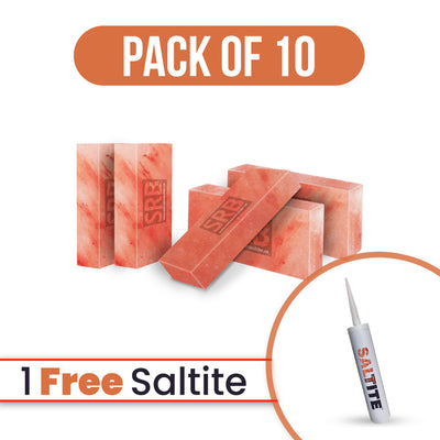 salt bricks pack of 10