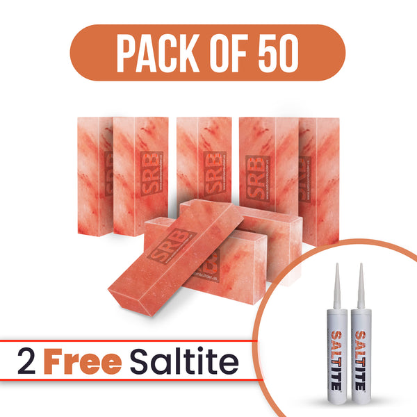 salt bricks pack of 50